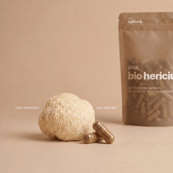 Bio Hericium Extrakt Kapseln / IntoNature