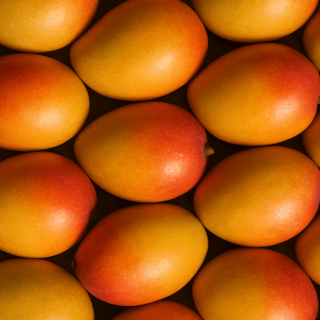 Frische reife Mangos in Nahaufnahme – sonnengereifte Bio-Früchte als Grundlage für gefriergetrocknetes Mango Pulver, Snacks und Smoothies